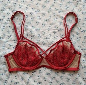 Dita Von Teese Maestra Bra Red 32C